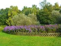 2014-10-02 17-04-08 Rando parc de la Courneuve MBo